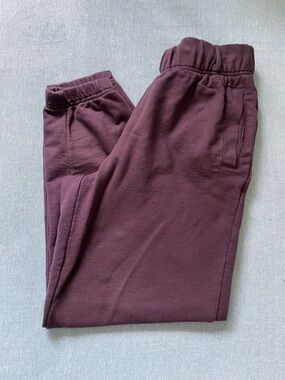 Aerie Jet Setter Jogger Size XS in Cool Berry